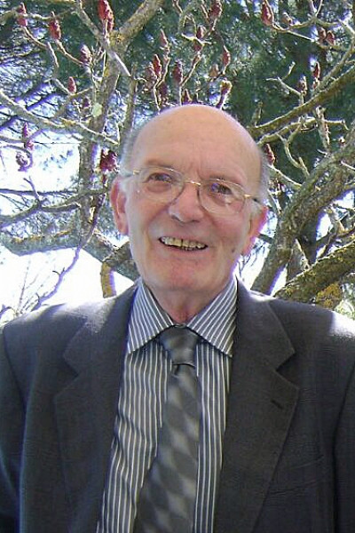 Pier Luigi  Bonarini