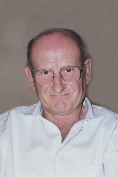 Domenico Goti