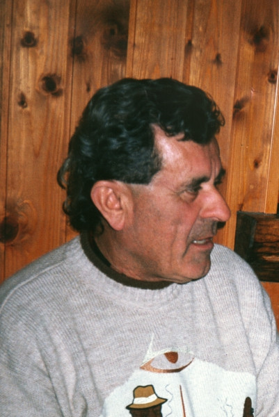 Dino Mori
