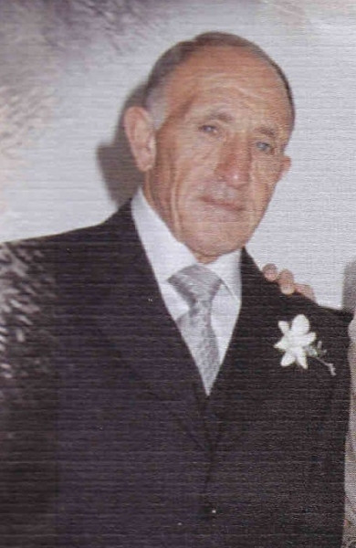 Vincenzo Petruzzellis