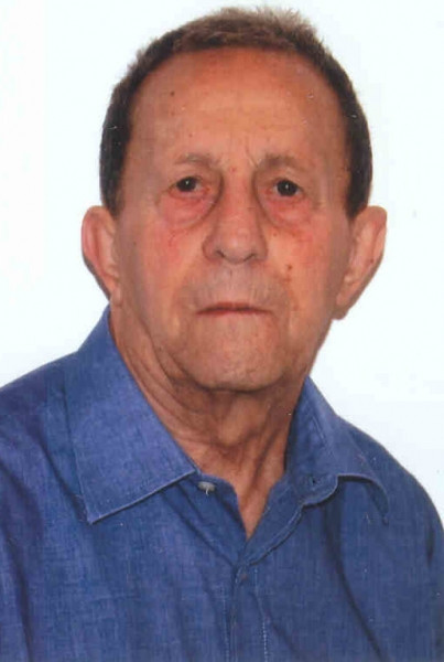 Rocco Petruzzellis