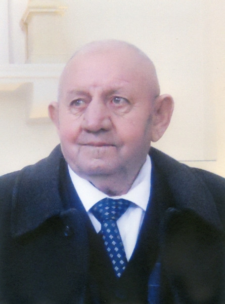 Domenico Bitetti