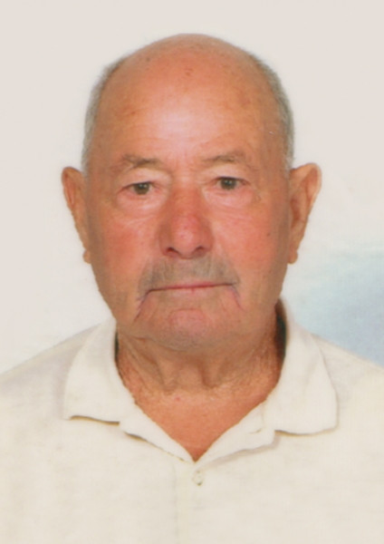 Michele  Picerno 