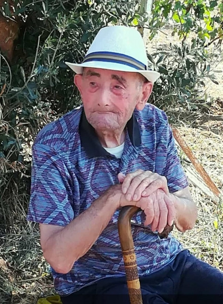 Nicola  Colonna