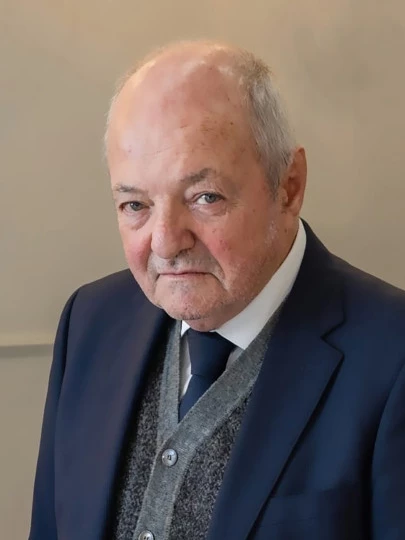 Vincenzo Giuseppe Rinaldi