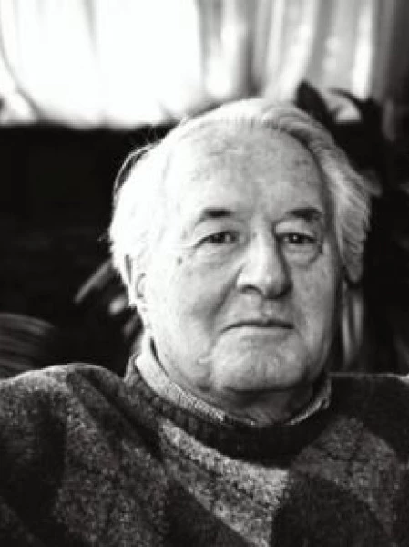 Prof. Giancarlo  Bonafin