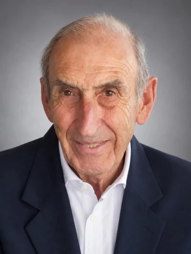 Michele Lapenna