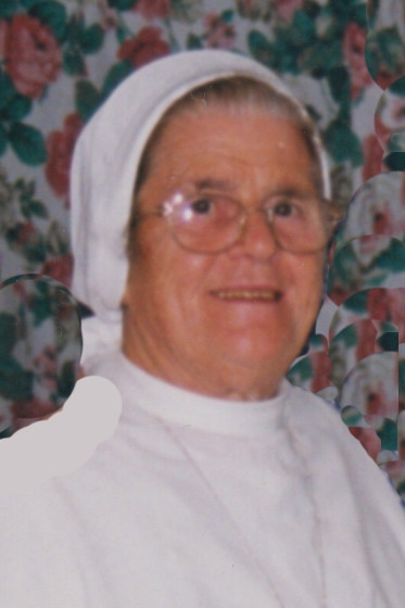 Rosa Paradiso