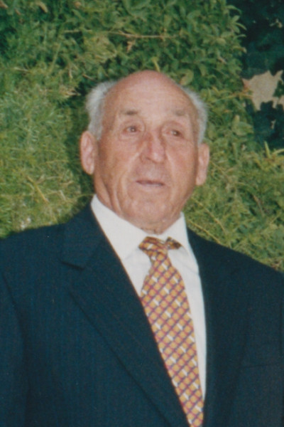 Domenico Lionetti