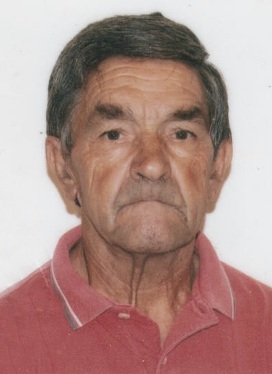 Domenico Ciccarone