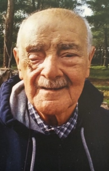 Nicola Ceccarelli