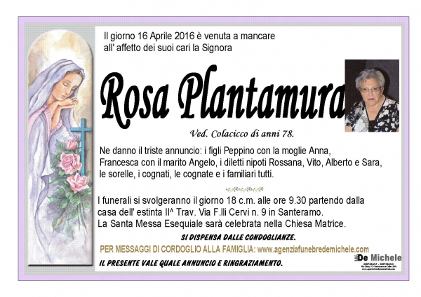 Rosa Plantamura