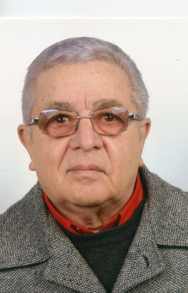 Michele D'effremo