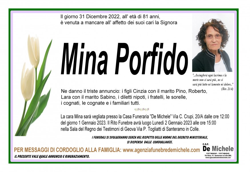 Mina Porfido