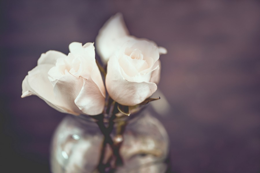 Rosa Angelastro