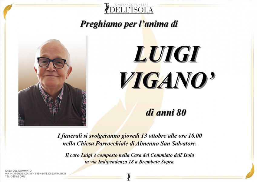 Luigi Vigano'