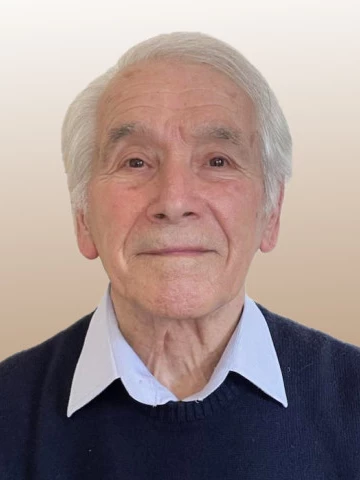 Domenico Fumagalli