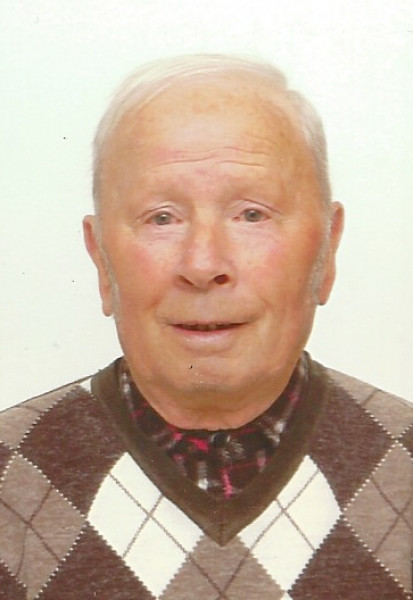 Angelo Colleoni